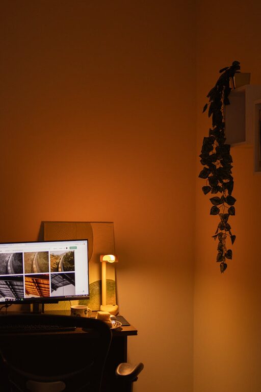 Tips for Creating a Relaxing Home Office Space